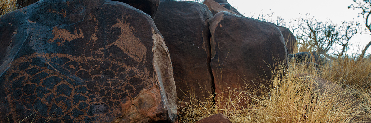 A huge boulder is embellished with ancient rock art depicting various animals